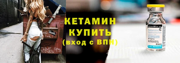 шишки Аркадак