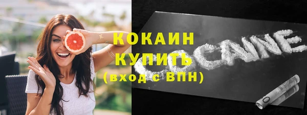 шишки Аркадак