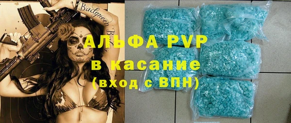 шишки Аркадак
