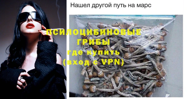 шишки Аркадак