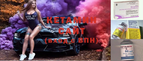 шишки Аркадак