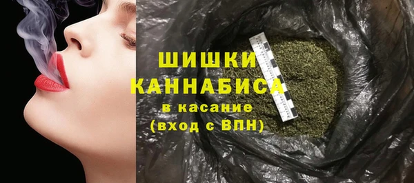 шишки Аркадак