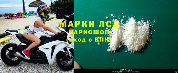 шишки Аркадак