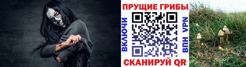 ссылка на мегу tor  Перевоз  Галлюциногенные грибы прущие грибы 